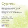 Aura Cacia Cypress Essential Oil | GC/MS Tested for Purity | 15ml (0.5 fl. oz.)