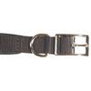 S/PROT DOG COLLAR 3/4 X 18 RED