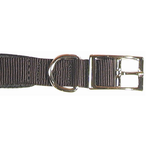 S/PROT DOG COLLAR 3/4 X 18 RED