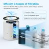 Official Certified Replacement HEPA Filter for B-D02L/B-D02 Air Purifier (2-PACK