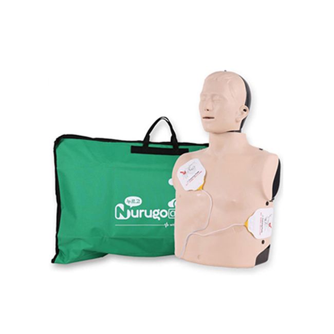 Press and CPR manikin basic type CPR first aid training equipment B100, 1 pc