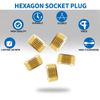 LifCratms 1/4" NPT Male Plug, Brass Internal Hex Thread Pipe Plug, Hex Countersunk Head Socket Pipe Fitting Kit (Pack of 12)