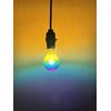 Rainbow Symphony The Original Rainbow F/X Light - Mardi Gras