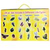 Insect Lore Life Cycle Figurines 24 Pc Set, Brown/a