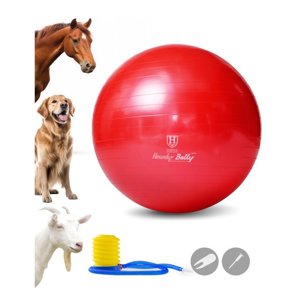 Harrison Howard Mega Horse Play Ball Anti-Burst Giant Horse Ball Horse Soccer Ball 22 Inch-Scarlet Red