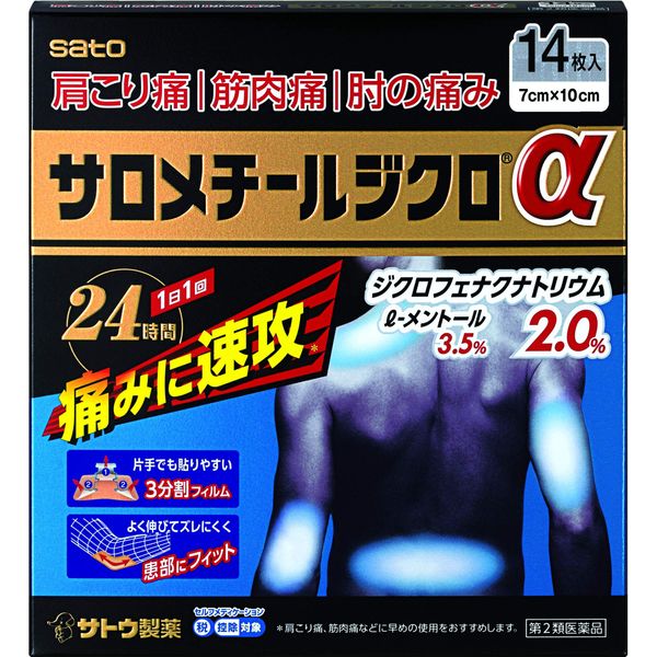 【第2類医薬品】サロメチールジクロα 14枚