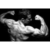 Nitric Oxide Power - NITRIC OXIDE 3150 - Extreme Post-Workout Recovery - 3 Bot