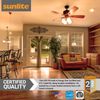 Sunlite LED G16 Globe 5W (40W Equivalent) Bulb Medium (E26) Base, Warm White 3 Pack