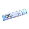 Boiron - Arnica Montana 6c, 6c, 80 pellets