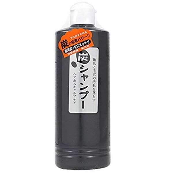 Sabrina Charcoal Shampoo 300ml