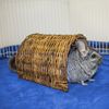 Ware Manufacturing Hand Woven Willow Twig Tunnel Small Pet Hideout, Large