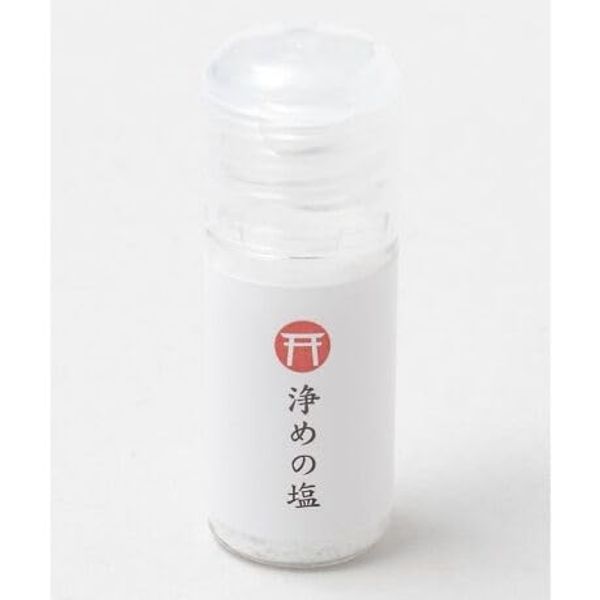 Portable Cleansing Salt Bottled 0.3 oz (10 g) 1 Piece