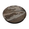 Aesop's Fable The Tortoise and The Hare PopSockets Swappable PopGrip