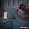 The Glowhouse Premium Style PIR Motion Sensor LED Night Light