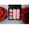 Beauticontrol 3-tiered Color Compact