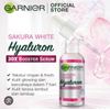 GARNIeR Hyaluronic Acid