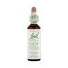 Bach Willow 20 Ml