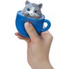 SCHYLLING POP A Chino Kitties