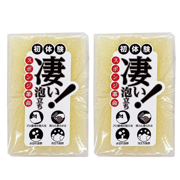 Kitchen Sponge Revolution (4 Piece Set (Ivory)