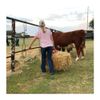 Reinsman Bale Handle Red