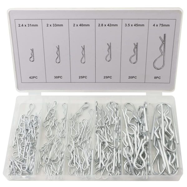 Toolzone 150pc Hair Pin Assortment (R Pins)
