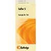 Synergon Komplex 156 Sulfur S Tropfen, 20 ml TRO