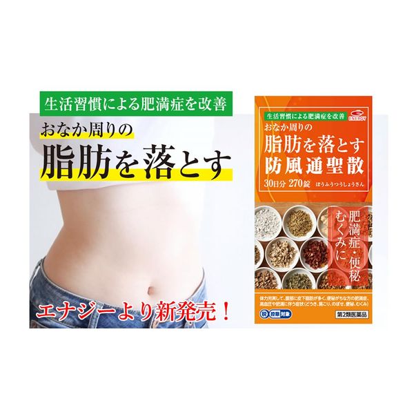 【第2類医薬品】阪本漢法の防風通聖散錠 270錠