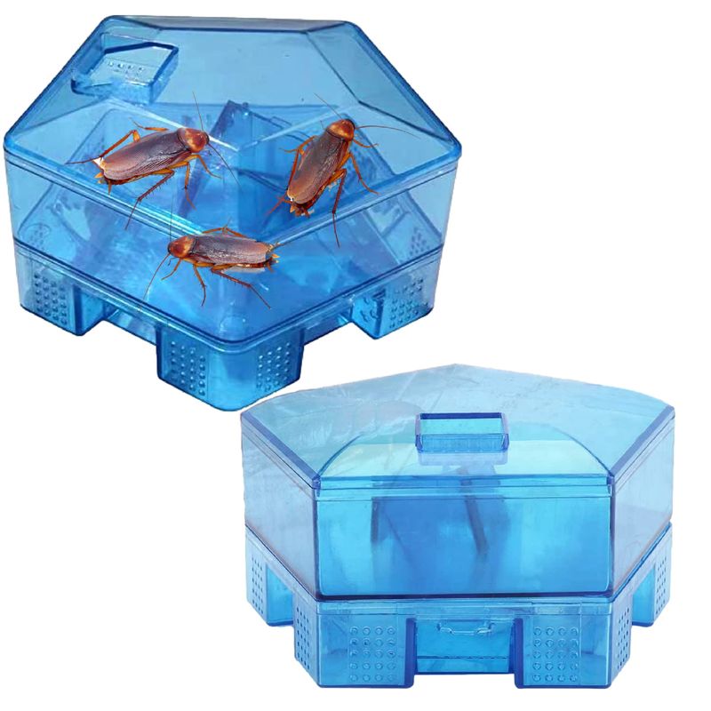 Sugarello Cockroach Repellent, Insect Trap, Cockroach Trap, Cockroach ...