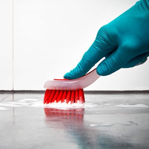 Plastic Dish Cleaning Brush with Suction Cup Set of 3 | Washing Up Brushes for Kitchen Sink Cleaning, Dishes, Pans, Pots | Scrubbing Brush with Durable Bristles (5 x 21 x 5 cm)