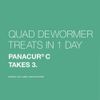 Effective 4-Pack Quad Dewormer for Small Dogs 2-25 lbs - Easy Beef Chewable