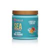 Mielle / Sea Moss / Anti-Shedding Curl Pudding 8oz / (Pack of 1)