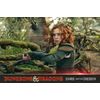 Dungeons & Dragons: Ehre unter Dieben [DVD]