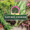 Nature's Answer Alcohol Free Olive Leaf Extract 2 Ounce | Supports Overall Wellness | Vegan | Non-GMO | Gluten Free | Made in The USA | Single Count