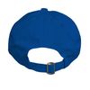 Function - Hiding My Quarantine Hair Funny Embroidered Adjustable Dad Hat Royal Blue