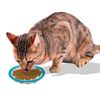 Pet rageous designs Cat Tableware Pet Paw Baby Plum