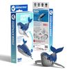 EUGY 3D Humpback Whale Model, Craft Kit