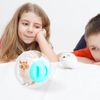 2 Hamster Jogging Balls, 14.5 cm Plastic, Transparent, for Hamsters & Small Rodents