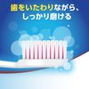 Aqua Fresh Toothbrush Regular (Normal) 12 pcs *Color cannot be selected