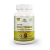 Pure Guduchi Capsule (Tinospora Cordifolia)