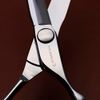 Aolanduo Prime Hairdressing Scissors with Super Convex Edge - VG10 Hair Cutting Scissors / Durable, Smooth and Fine Hair Cutting Scissors for Salon (CNC)