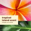 Hawaiian Tropic Sheer Touch Lotion Sunscreen SPF 15, 8oz | Hawaiian Tropic Sunscreen SPF 15, Sunblock, Broad Spectrum Sunscreen, Oxybenzone Free Sunscreen, Body Sunscreen SPF 15, 8oz