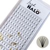 5D Pre Made Fans 0.10 D Curl Eyelash Extensions Short Stem (10mm)