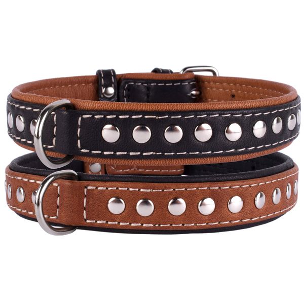 CollarDirect Studded Dog Collar Leather Pet Collars for Dogs Small Medium Large Puppy Soft Padded Brown Black (Brown, Neck fit 11" - 13")