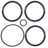 Plastic Anthony Piston O-Ring Val-Pak 2 in Set V34-141