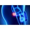 anti aging products - PROSTATE SUPPORT  Complex -2B- Maximize kidney health