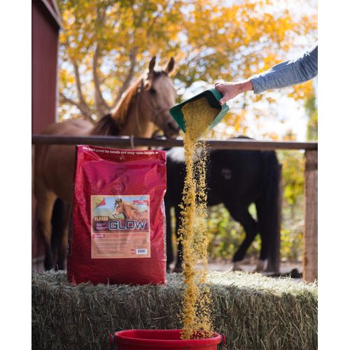 Glow 40 lb, Aids in Weight Gain for Horses and Improves Coat and Condition, High in Omega-3’s