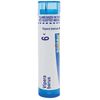 Boiron Vipera Berus 6C for Painful Legs Improved by Elevation - 80 Pellets