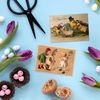 Victorian Postcards Set of 10 - Easter Cards Pack Weird Funny Cute Unique
