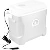 IGLOO 12V DC Power Cord for Thermal Electric Coolers