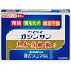 【第2類医薬品】恵命我神散S 3g×20